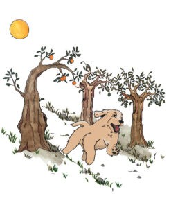 Columbus på eventyr